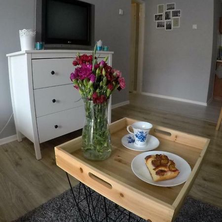 Mieszkanie W Centrum Sandomierz Εξωτερικό φωτογραφία